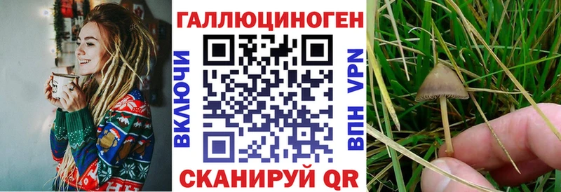 Галлюциногенные грибы GOLDEN TEACHER  Купить закладки  Харабали 